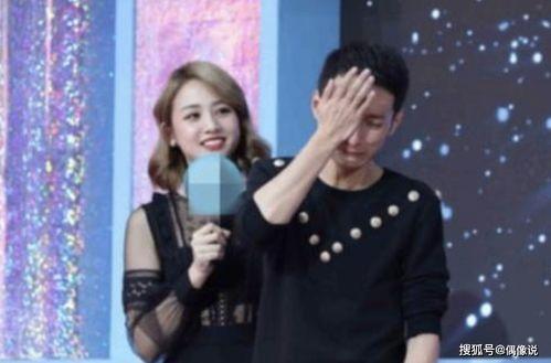 维嘉家世爆料视频大全,视频大全深度解析